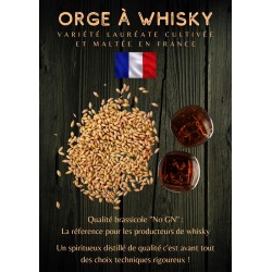 Drolle Pur Malt Châtaigne