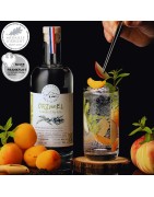 Gin français par la distillerie volcanique en Auvergne